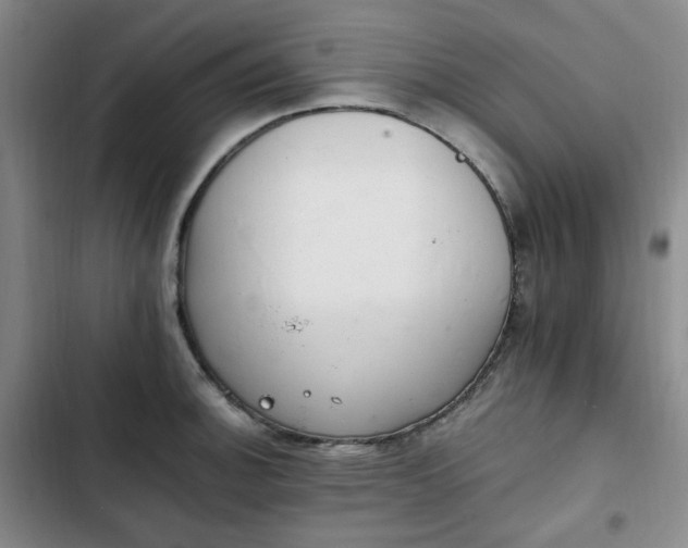 X0000102761140200808251022