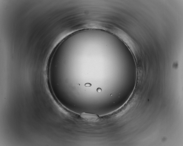 X0000102761141200808251022