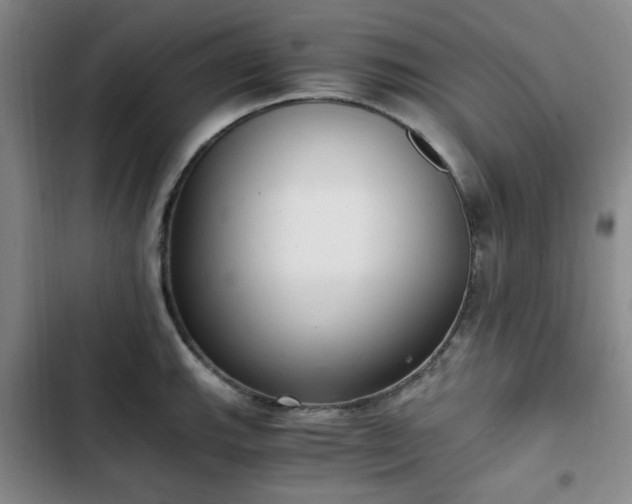 X0000102761143200808251022