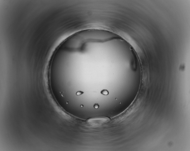 X0000102761144200808251022