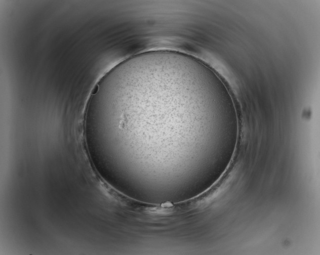 X0000102761145200808251022