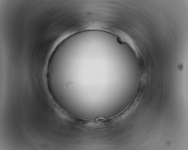 X0000102761146200808251022