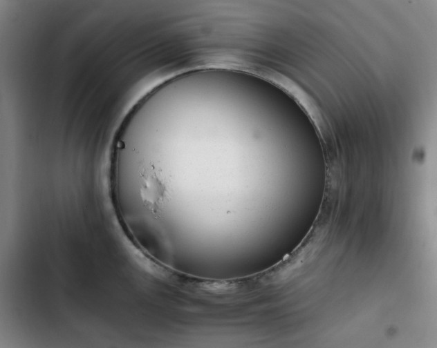 X0000102761147200808251022