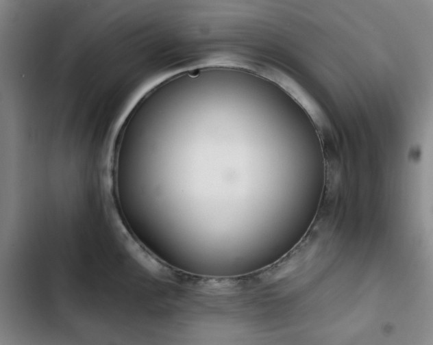 X0000102761148200808251022