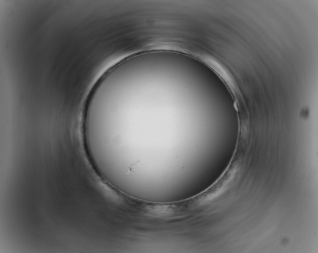 X0000102761149200808251022