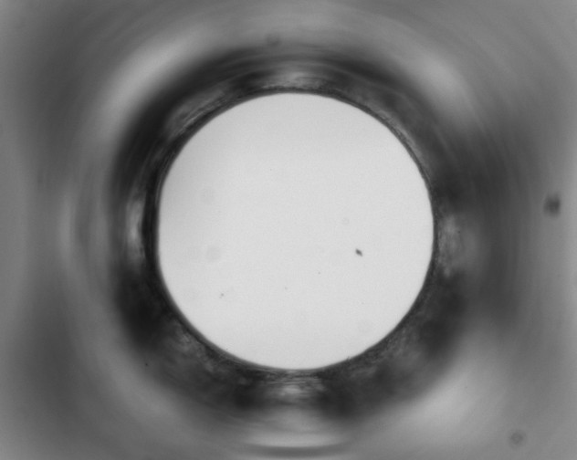 X0000102761150200808251022