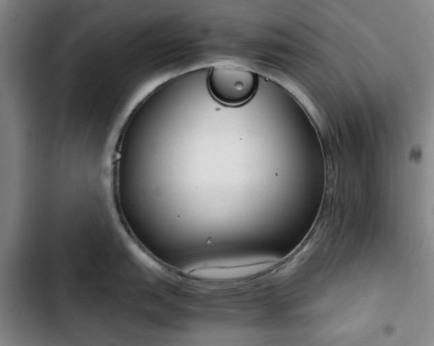 X0000102761151200808251022