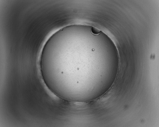 X0000102761152200808251022