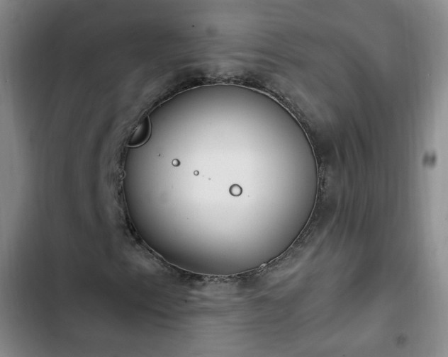 X0000102761153200808251022