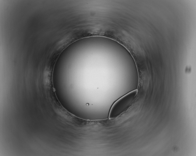 X0000102761154200808251022