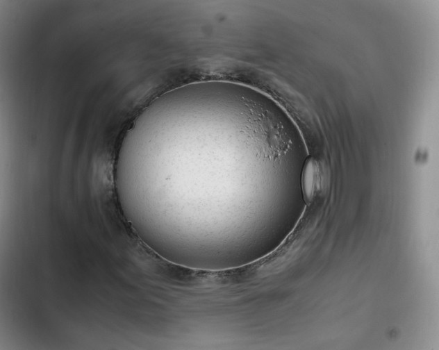 X0000102761155200808251021