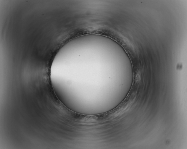 X0000102761156200808251021