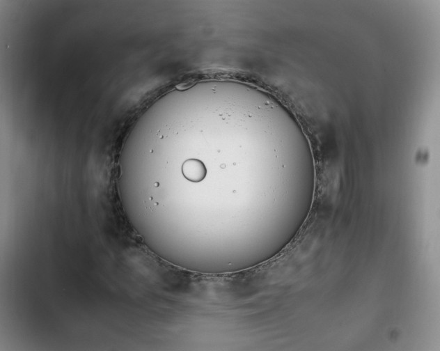 X0000102761157200808251021