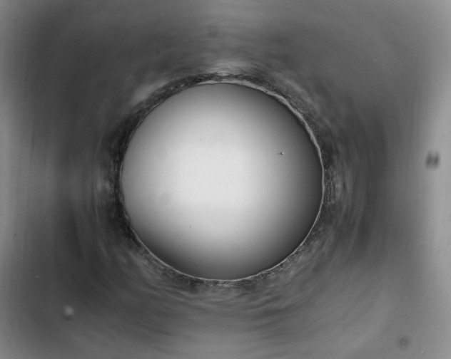 X0000102761158200808251021