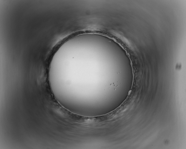 X0000102761160200808251021