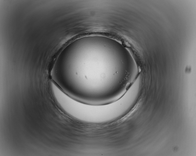 X0000102761161200808251021