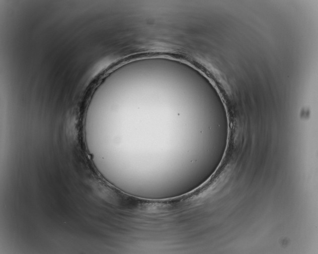 X0000102761163200808251021