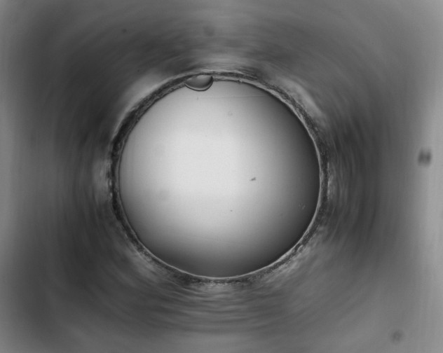 X0000102761164200808251021