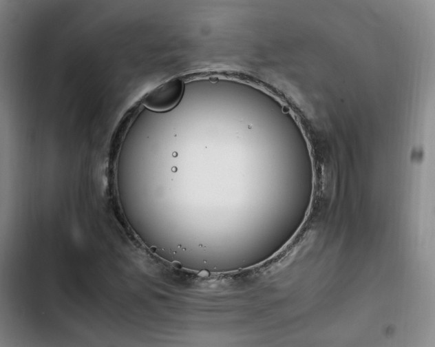 X0000102761165200808251021