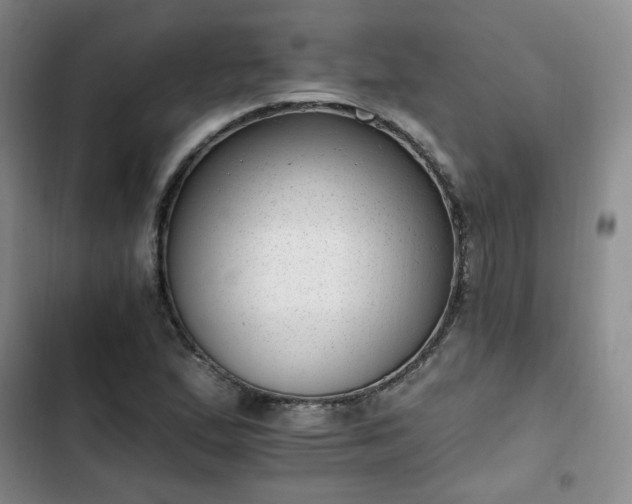 X0000102761167200808251021