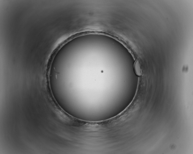 X0000102761168200808251021