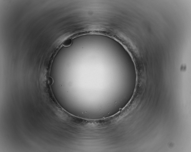 X0000102761169200808251021