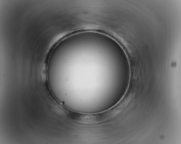 X0000102761171200808251021