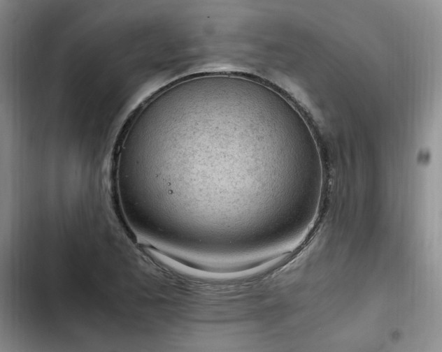 X0000102761173200808251021