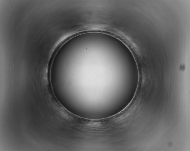 X0000102761174200808251021