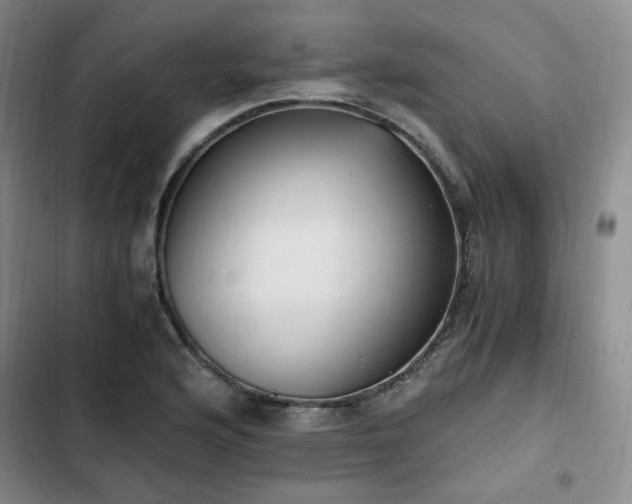 X0000102761176200808251021