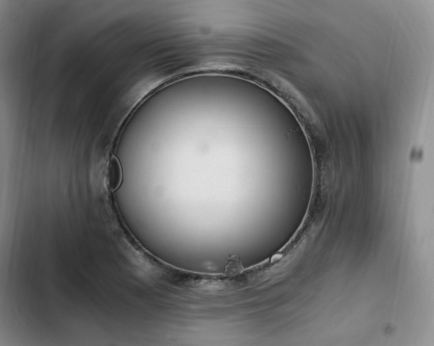 X0000102761177200808251021