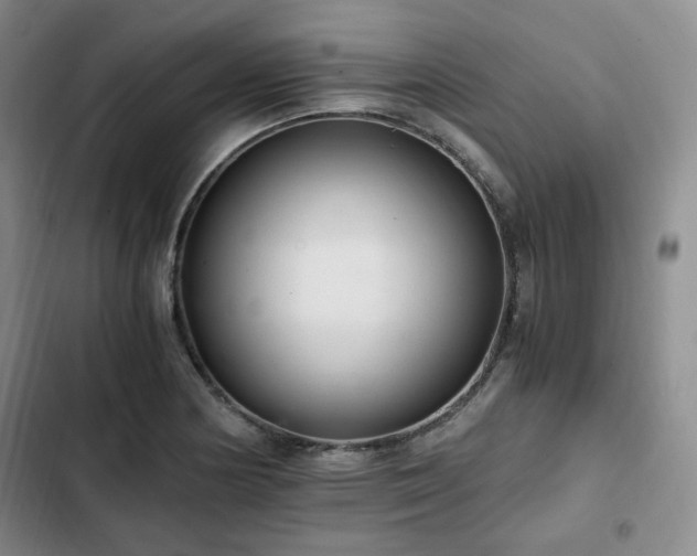 X0000102761178200808251021