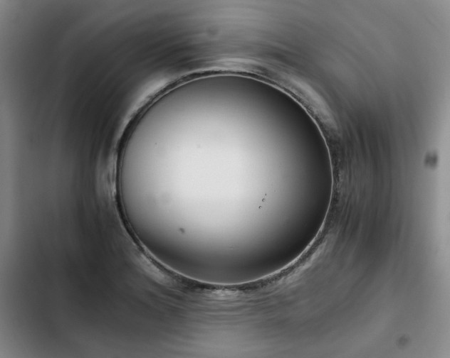 X0000102761180200808251021