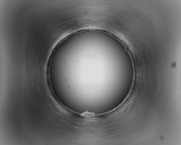 X0000102761181200808251021