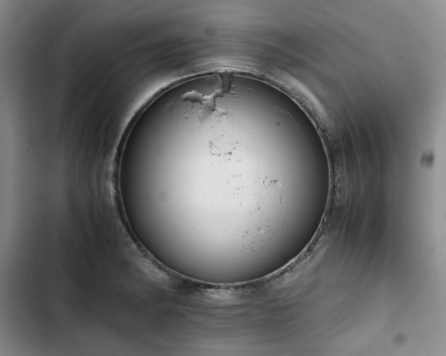 X0000102761182200808251021