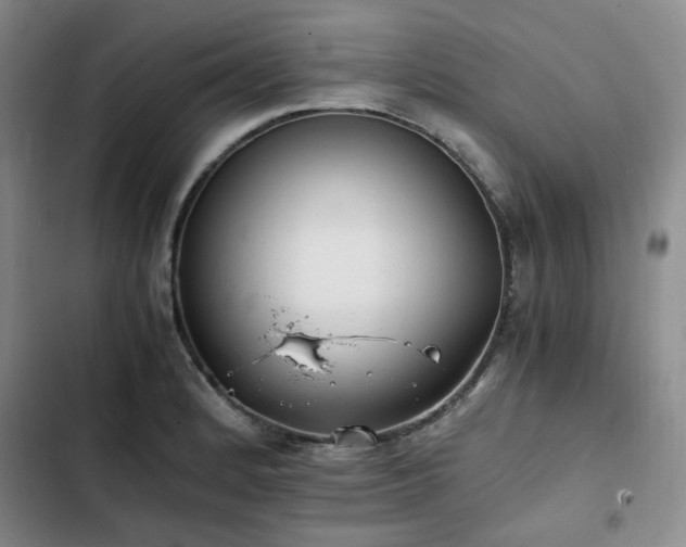 X0000102761184200808251021