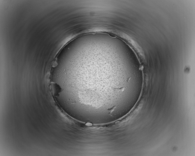 X0000102761185200808251021