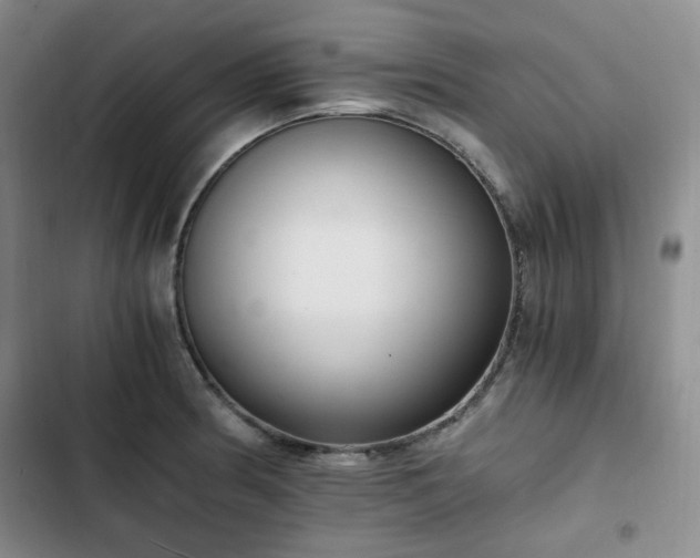 X0000102761186200808251021