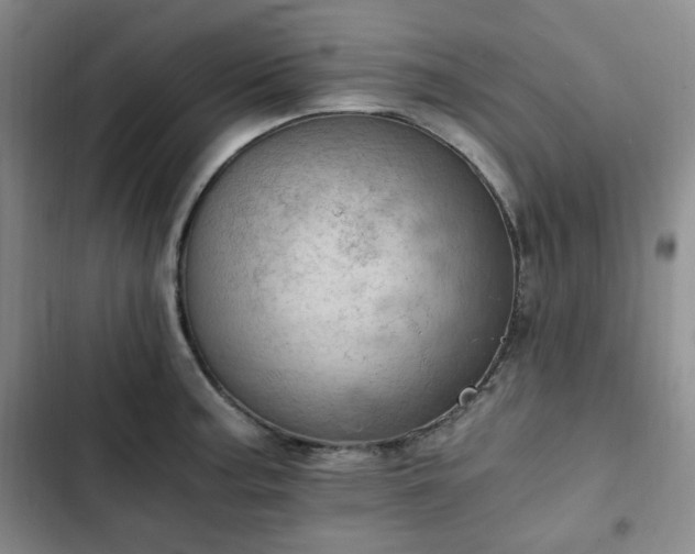 X0000102761187200808251021