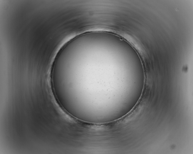 X0000102761189200808251021