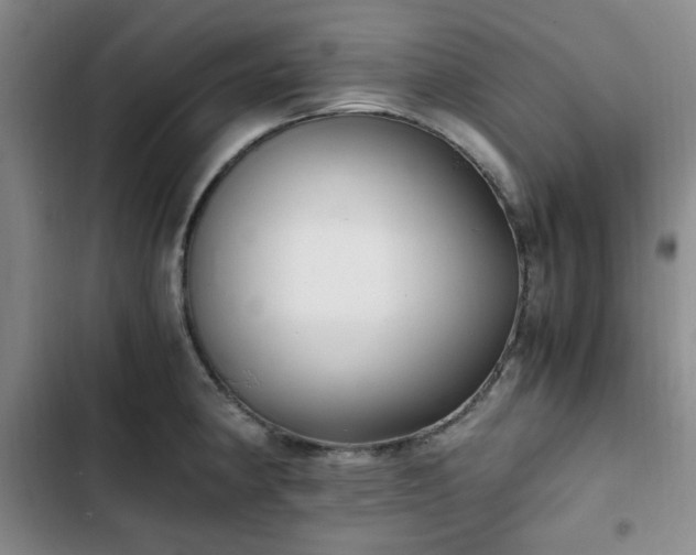 X0000102761190200808251021