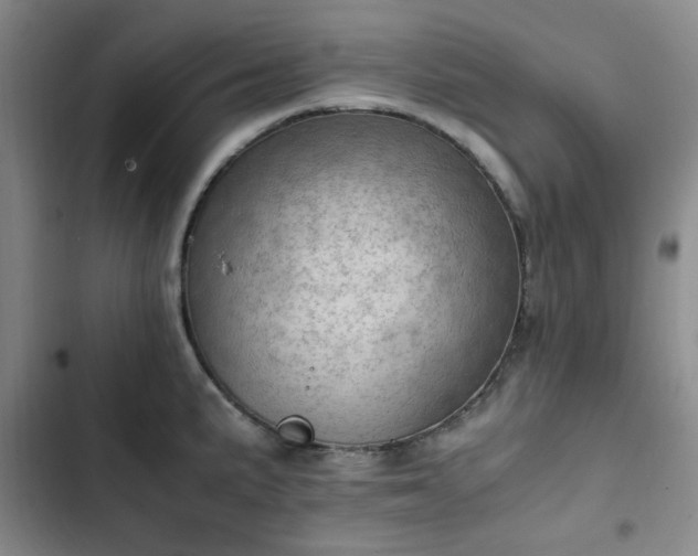 X0000102761191200808251021