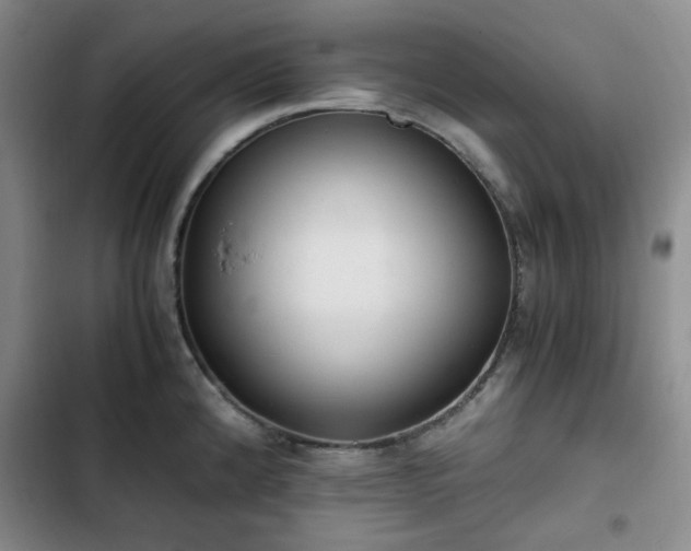 X0000102761192200808251021