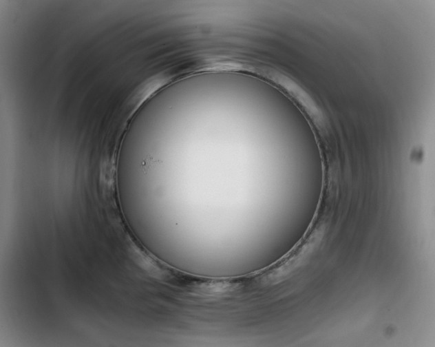 X0000102761193200808251021