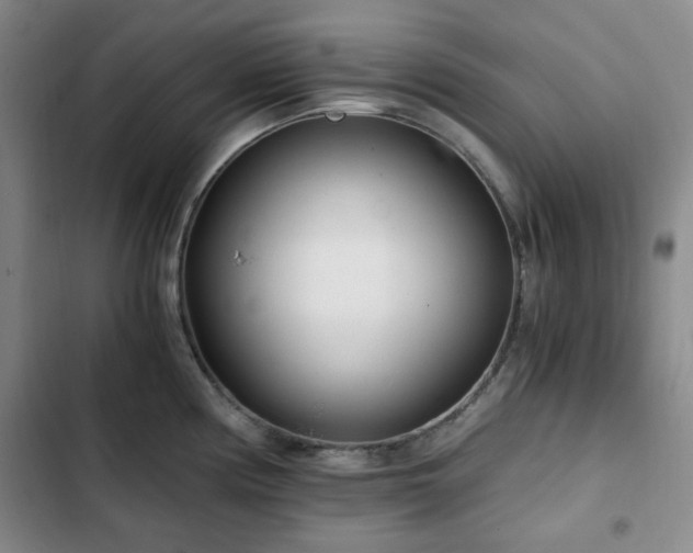 X0000102761194200808251021