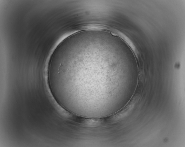 X0000102761195200808251021