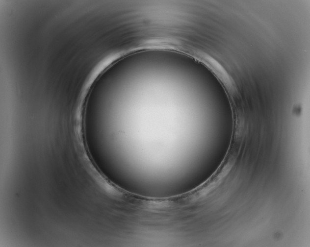 X0000102761196200808251021