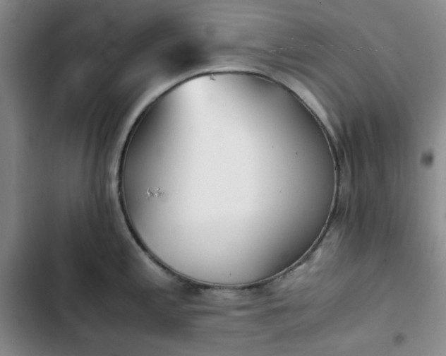 X0000102761197200808251021