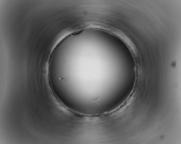 X0000102761198200808251021