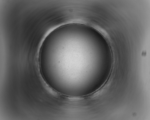 X0000102761200200808251021